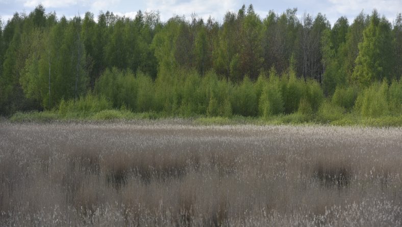 Dabas parkā “Piejūra” tiek uzsākti darbi