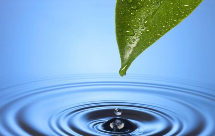 iWater – Integrēta lietusūdens pārvaldība. Projekta mērķi un rezultāti