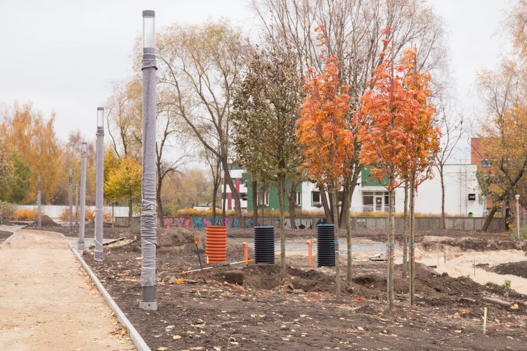 Topošā parka teritorijā Skanstē sākta koku stādīšana