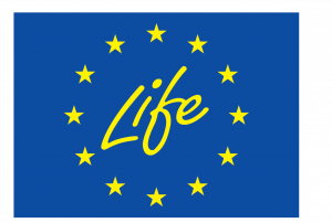 Logo "Life"