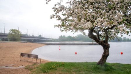 Introducing adaptive community-based biodiversity management in urban areas for improved connectivity and ecosystem health