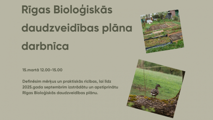 Seminārs par Rīgas bioloģiskā daudzveidības plāna mērķiem un praktiskajām rīcībām