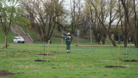 Rīga izstrādās pilsētvides zaļināšanas plānu