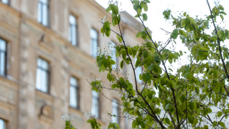 Seminārs par Rīgas zaļās infrastruktūras attīstību klimata pārmaiņu seku mazināšanai