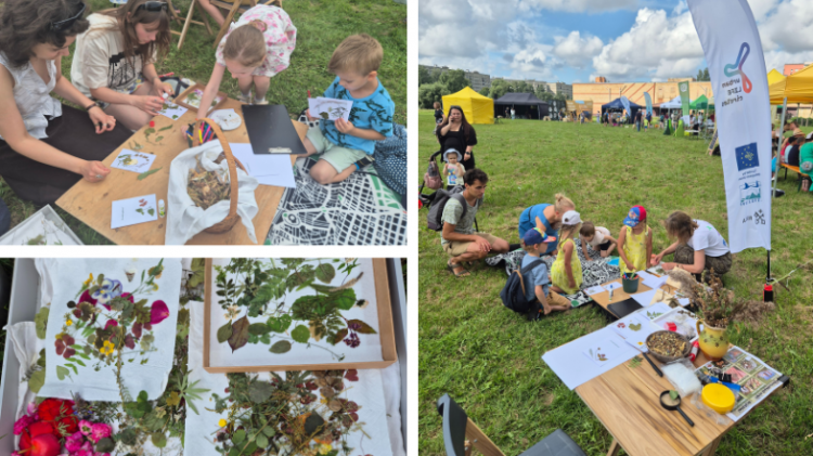 Projekts urbanLIFEcircles piedalās Pļavas festivālā Dreiliņkalnā