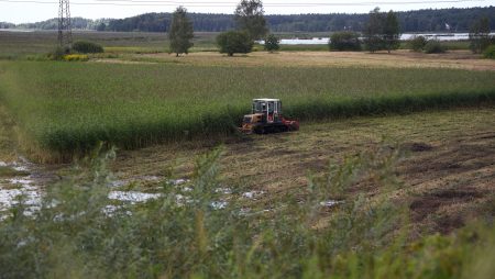 Jaunciema dabas liegumā veikti zālāju atjaunošanas darbi 26 hektāru platībā