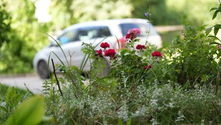 Jaunā Eiropas Bauhaus un dabā balstītu risinājumu izmantošana sabiedrības ilgtspējas, iekļaušanas un noturības veicināšanai (Sleeping Beauty)