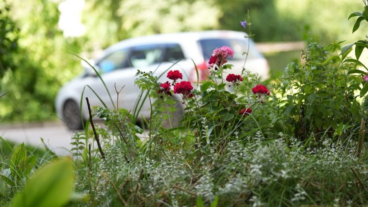 Jaunā Eiropas Bauhaus un dabā balstītu risinājumu izmantošana sabiedrības ilgtspējas, iekļaušanas un noturības veicināšanai (Sleeping Beauty)