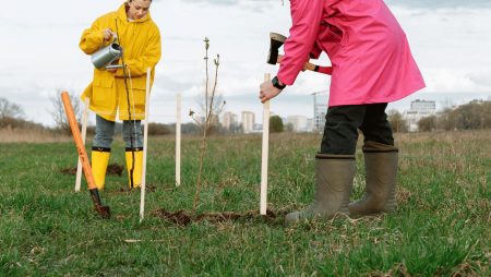 Rīga aicina privāto dārzu īpašniekus piedalīties konkursā bioloģiskās daudzveidības veicināšanai