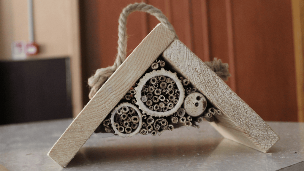 Attēls ar kukaiņu māju