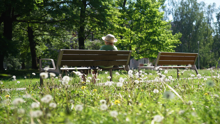 Zaļināšanas plāns prezentēts konferencē par pilsētvides noturību pret nokrišņiem un plūdiem