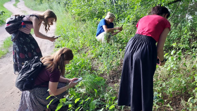 Jūlija Kazas sēkļa monitoringā reģistrēti 402 novērojumi